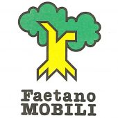 faetano design lab